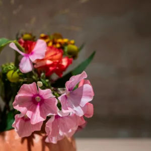 Composition citrouille – Image 2