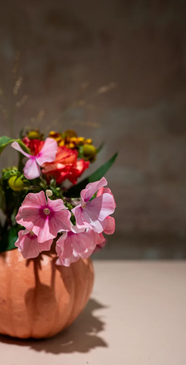 Composition citrouille