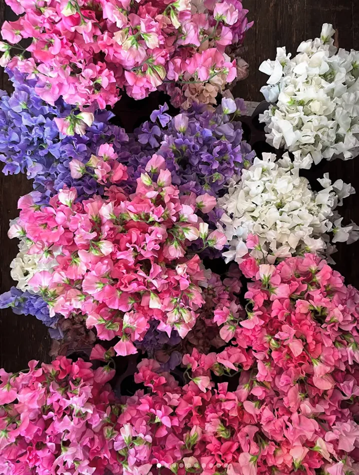 Abonnement botte du mois – Image 1